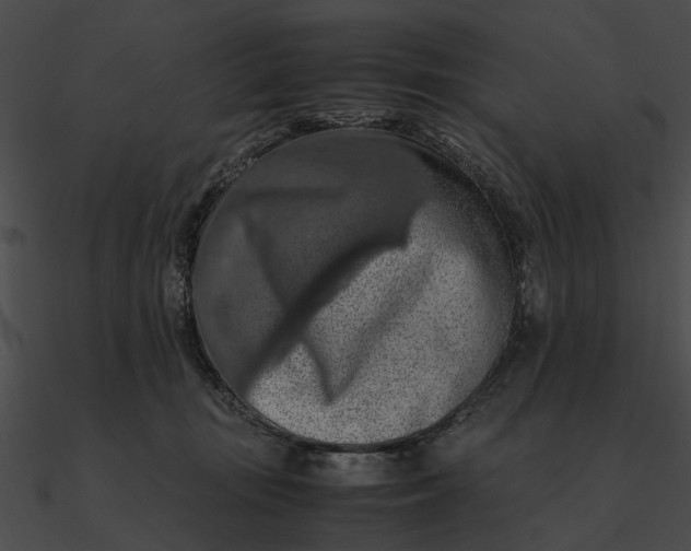 X0000090490371200708031152