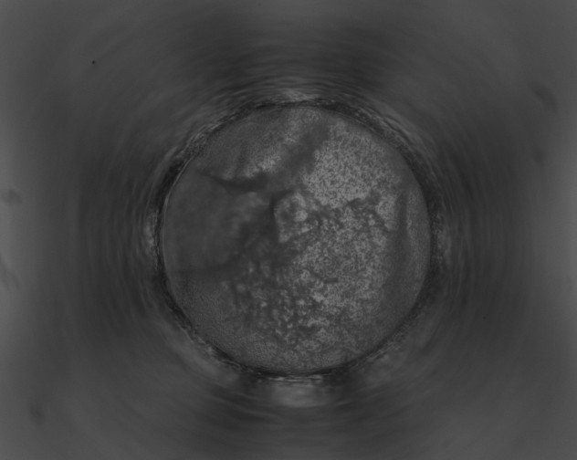 X0000090490373200708031152