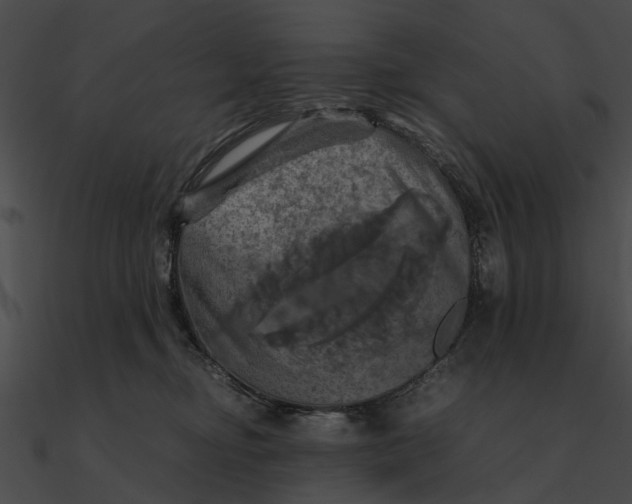 X0000090490374200708031152