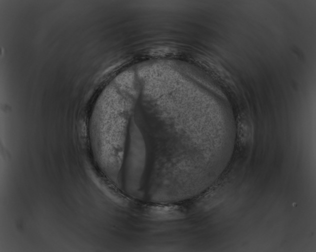 X0000090490375200708031152