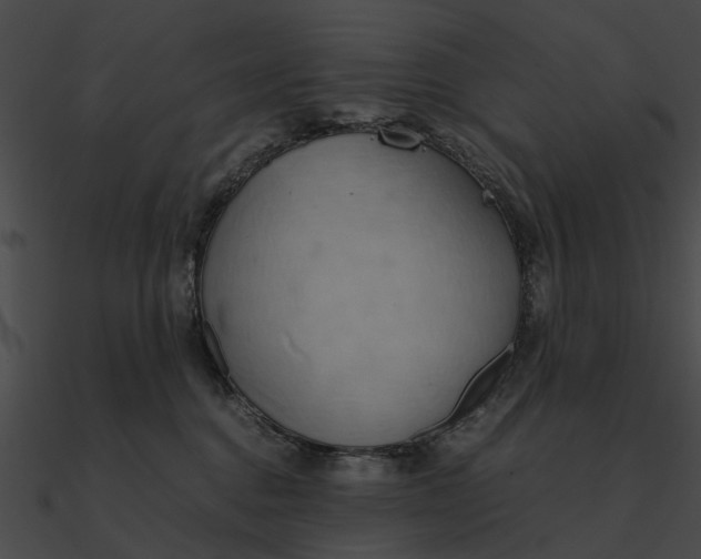 X0000090490376200708031152