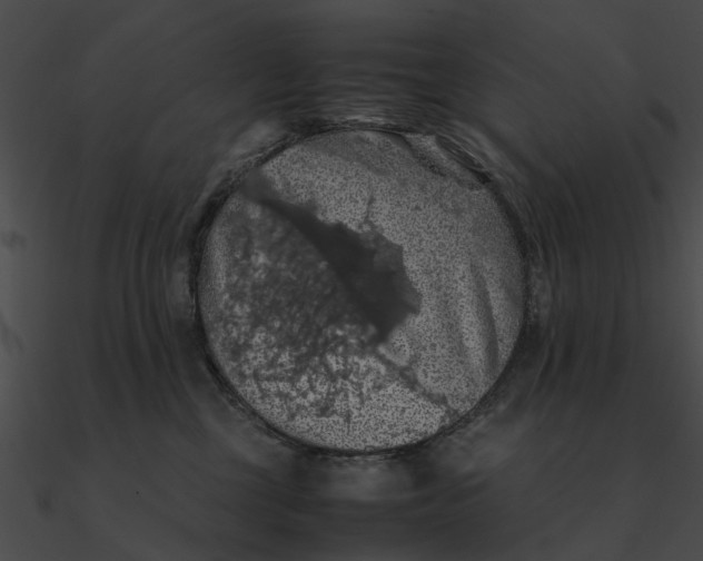 X0000090490377200708031152