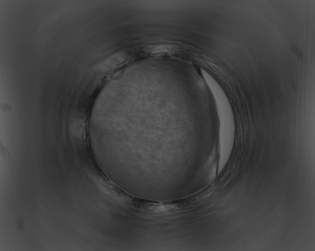 X0000090490379200708031152