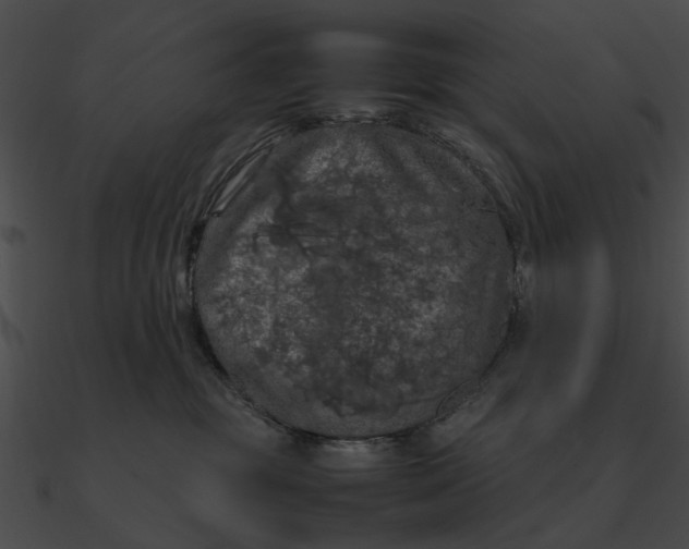 X0000090490381200708031152