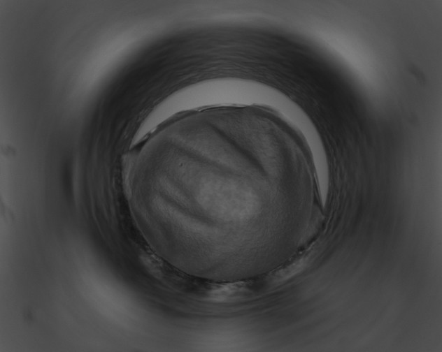 X0000090490382200708031152