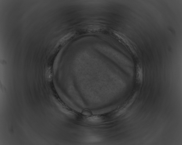 X0000090490383200708031152