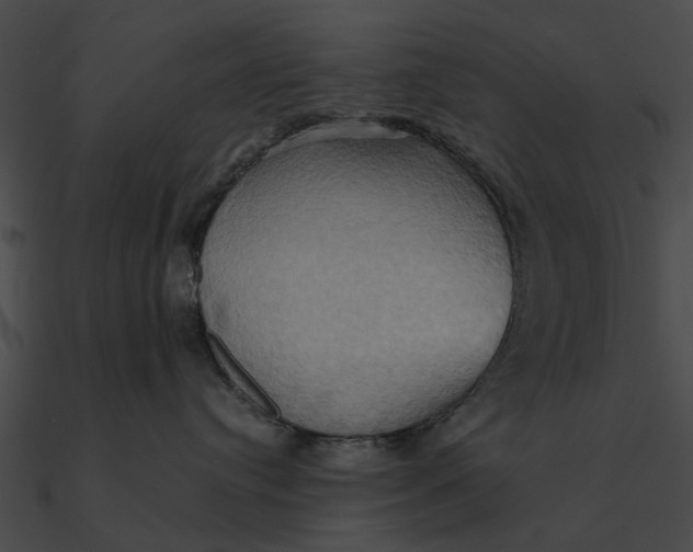 X0000090490384200708031152