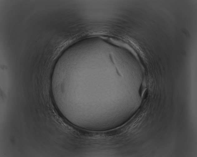 X0000090490385200708031151