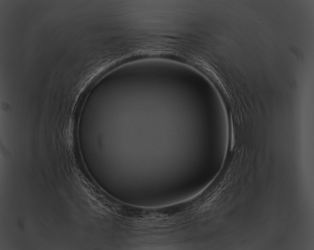 X0000090490387200708031151