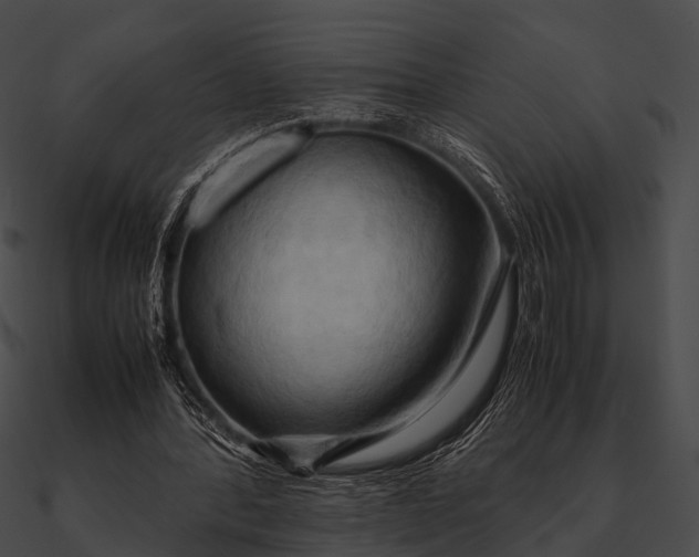 X0000090490388200708031151