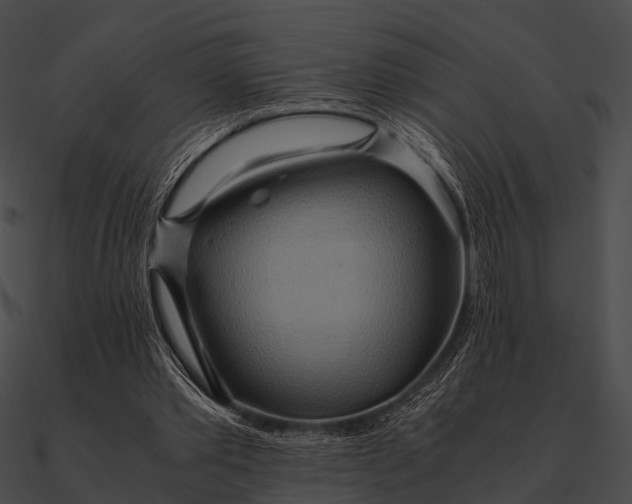 X0000090490389200708031151