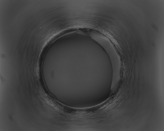 X0000090490391200708031151