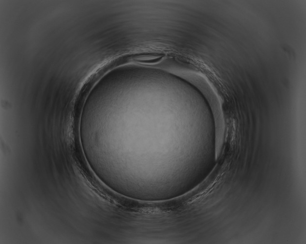 X0000090490392200708031151