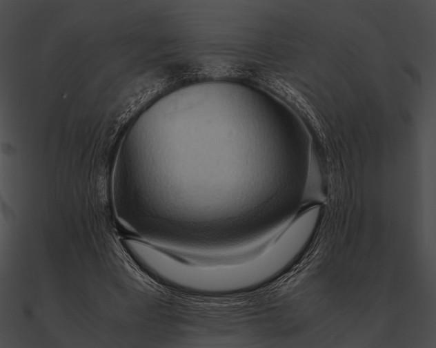 X0000090490393200708031151