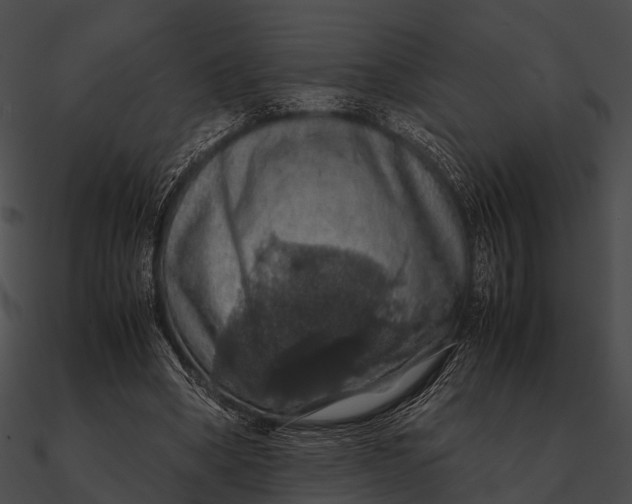 X0000090490394200708031151