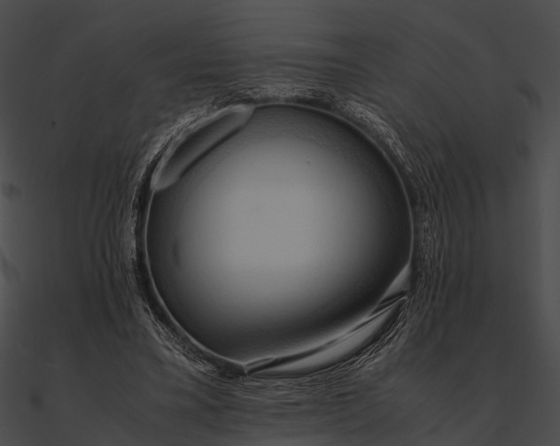 X0000090490395200708031151