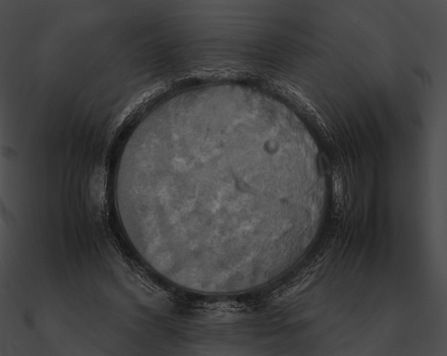 X0000090490396200708031151