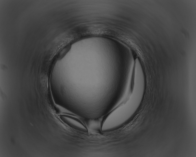 X0000090490397200708031151