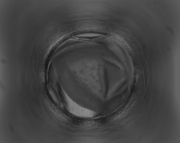 X0000090490399200708031151