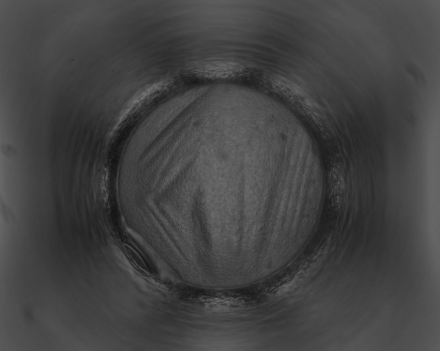 X0000090490400200708031151