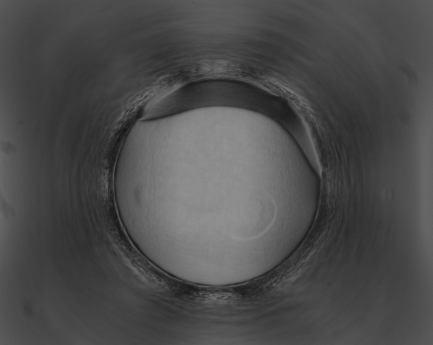 X0000090490401200708031151