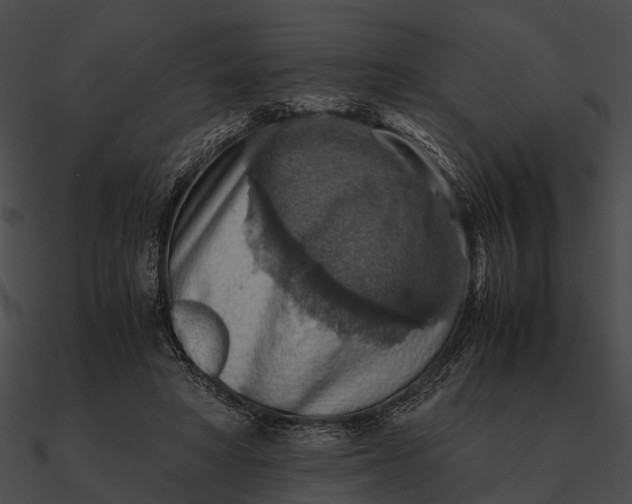 X0000090490402200708031151