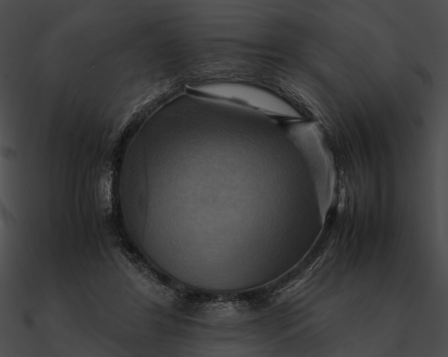 X0000090490404200708031151