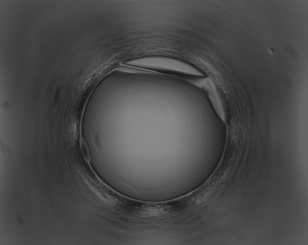 X0000090490405200708031151