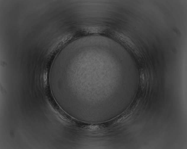 X0000090490406200708031151