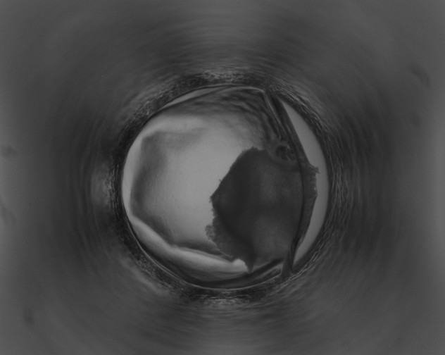 X0000090490408200708031151