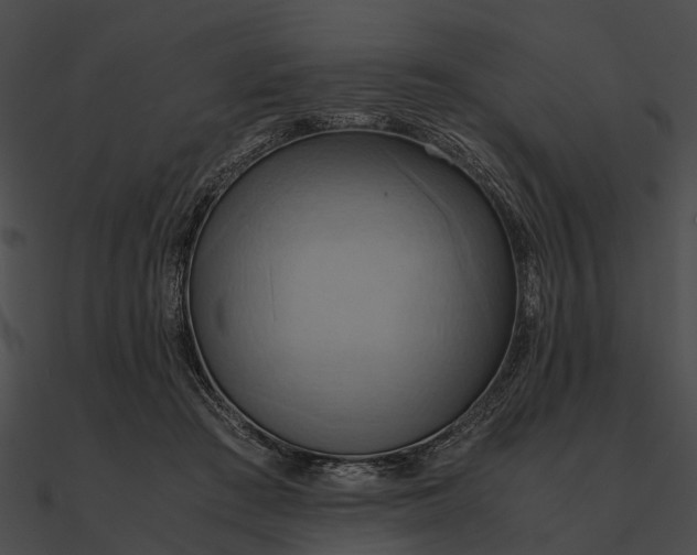 X0000090490409200708031151