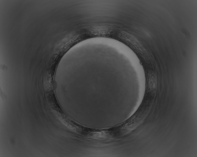 X0000090490411200708031151