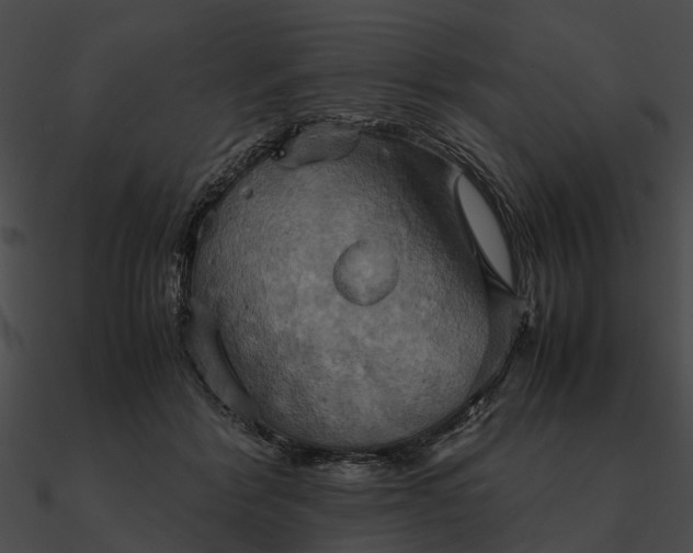 X0000090490412200708031151