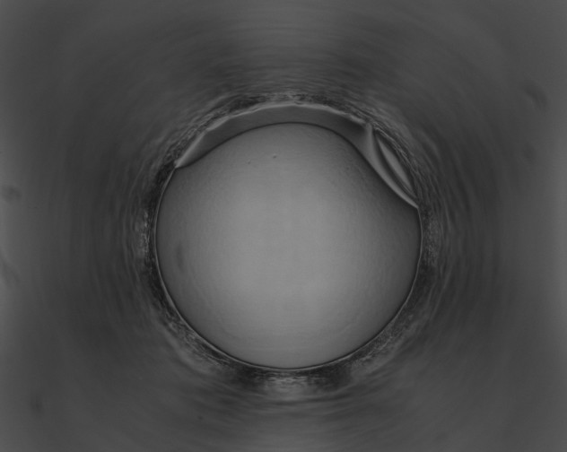 X0000090490413200708031151