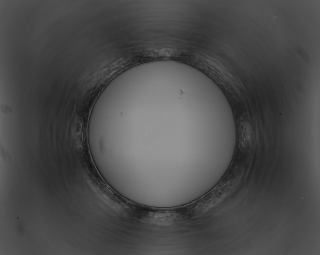 X0000090490414200708031151