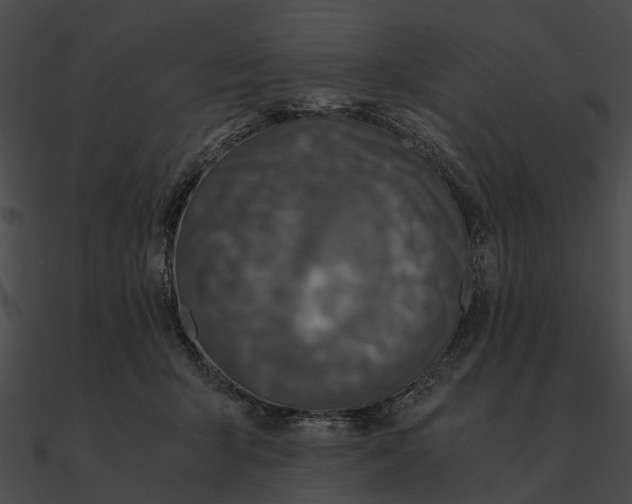 X0000090490415200708031151