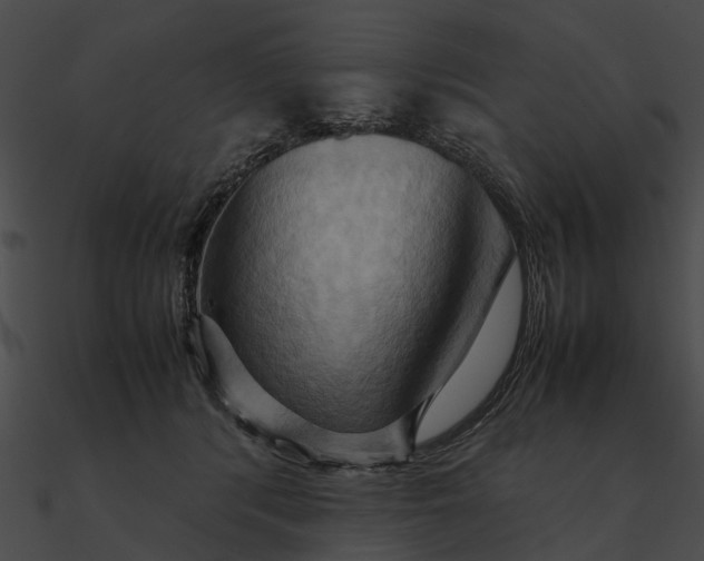 X0000090490416200708031151