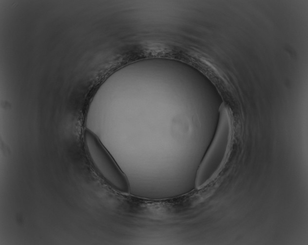 X0000090490417200708031150