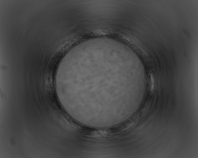 X0000090490418200708031150