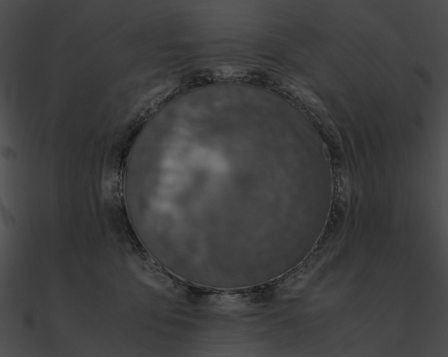 X0000090490419200708031150