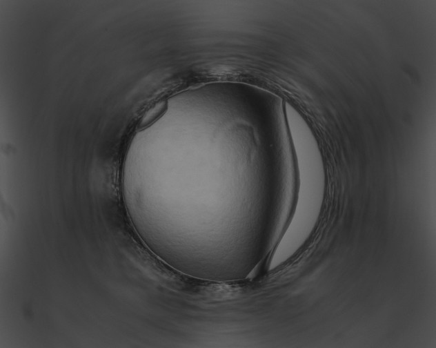 X0000090490421200708031150