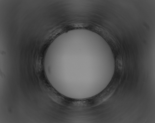 X0000090490422200708031150