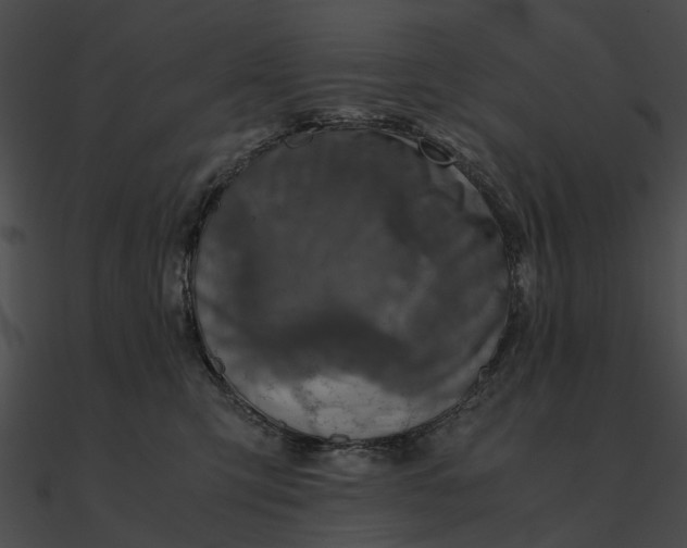 X0000090490423200708031150