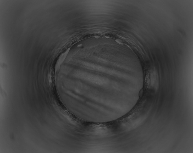 X0000090490424200708031150