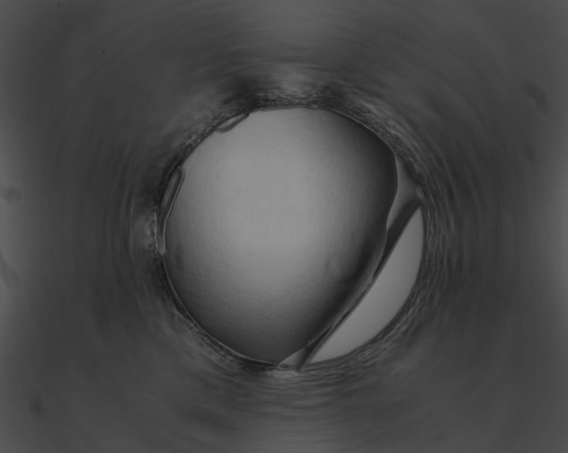 X0000090490425200708031150