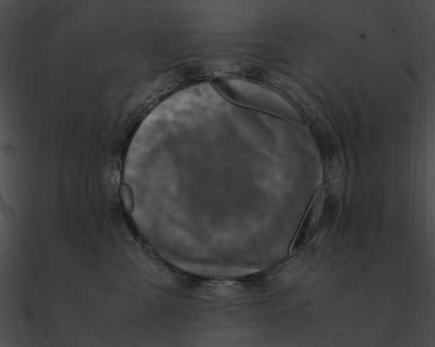 X0000090490427200708031150