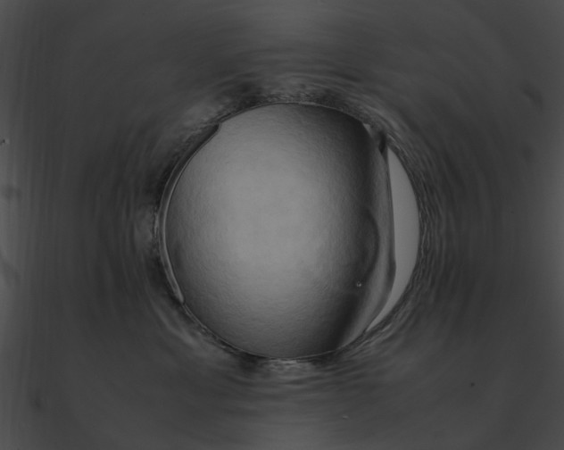 X0000090490429200708031150