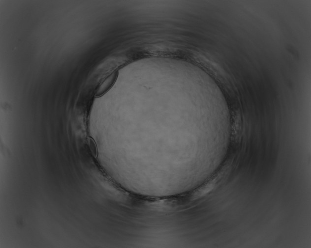 X0000090490430200708031150