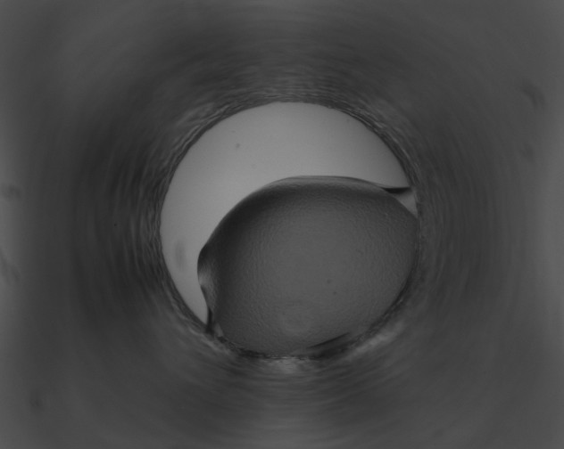 X0000090490432200708031150