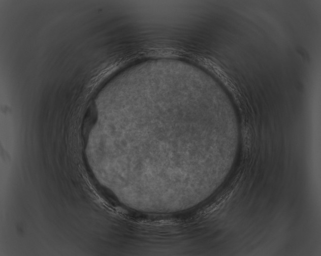 X0000090490433200708031150